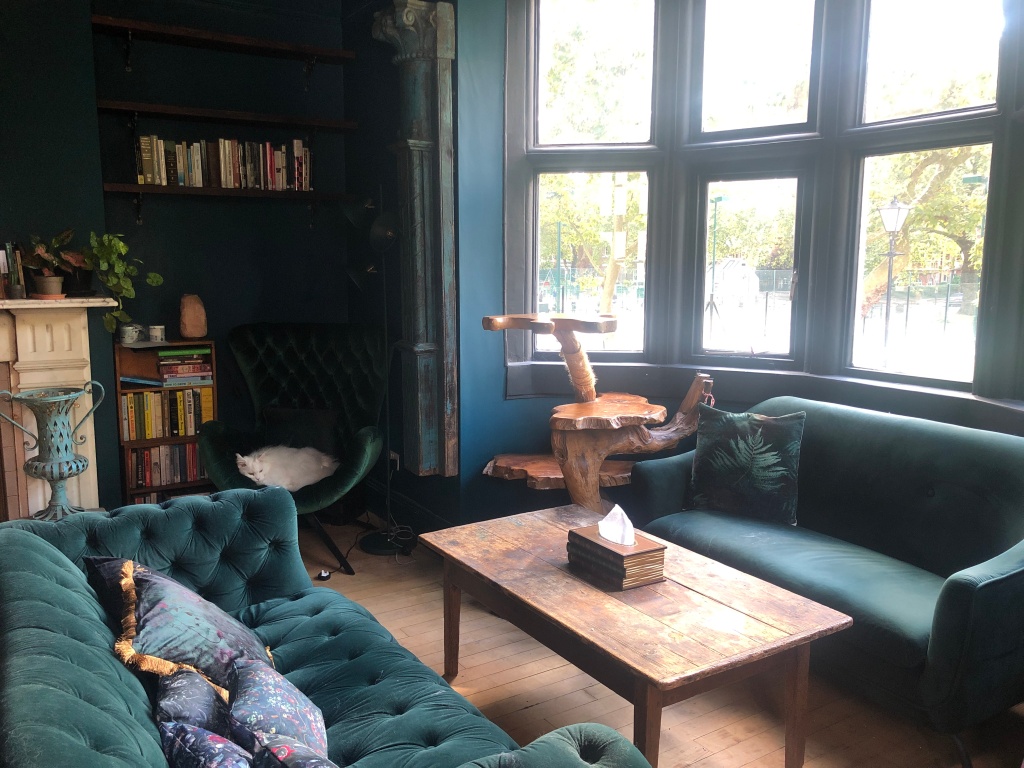Photo of the therapy room. The walls are green and there are two sofas facing each other with a coffee table in between. The sofas are green velvet and the coffee table has a box of tissues on it. The sofas are in front of a bay window. In the background, a white cat sits on an armchair next to a bookcase. 